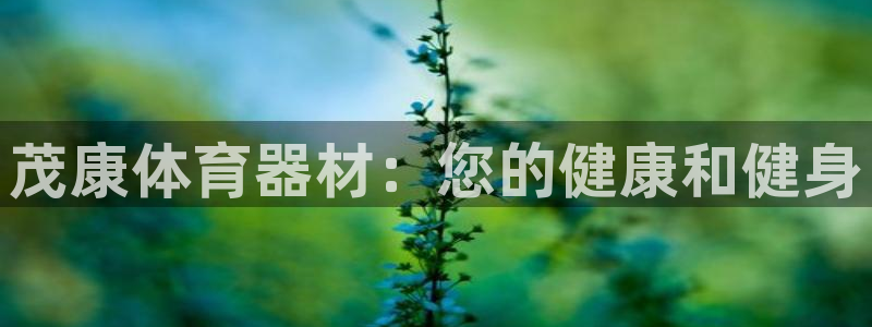 极悦平台注册官网：茂康体育器材：您的健康和健身