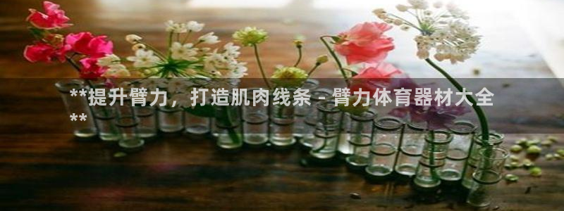 极悦官网