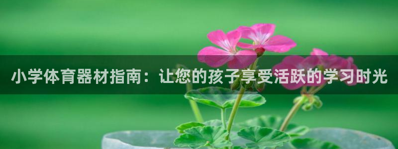 苏州极悦信息科技有限公司：小学体育器材指南：让您的孩