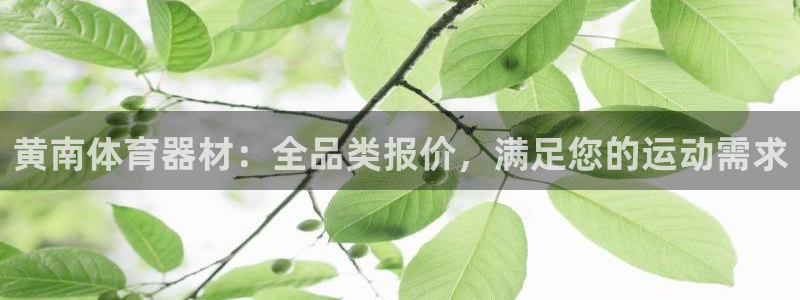 极悦平台注册登录失败：黄南体育器材：全品类报价，满足