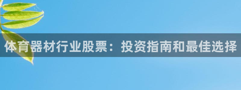 极悦娱乐股东名单：体育器材行业股票：投资指南和最佳选