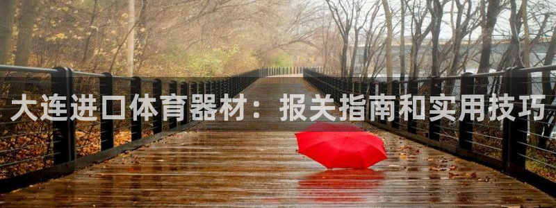 极悦平台官网登录网址是多少：大连进口体育器材：报关指