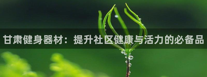 极悦平台注册和登录页面在哪：甘肃健身器材：提升社区健