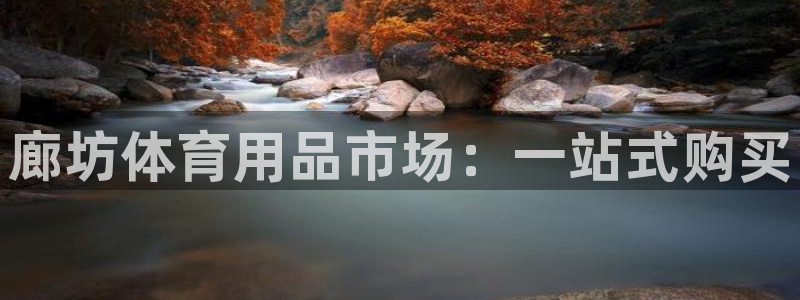 极悦平台客服的联系方式是多少:廊坊体育用品市场:一站式购买