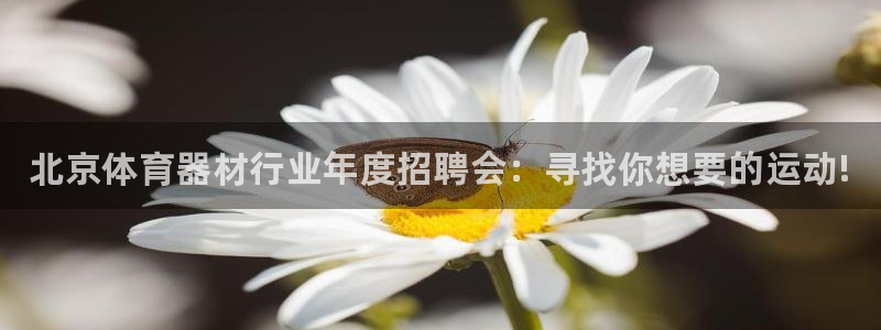 极悦平台注册和登录页面不一样:北京体育器材行业年度招聘会:寻