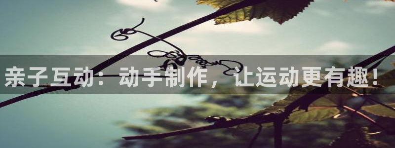 极悦娱乐官网下载安装:亲子互动:动手制作,让运动更有趣!